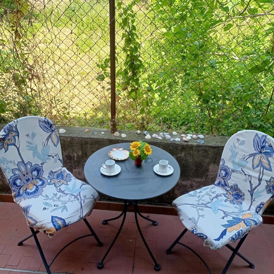 Beatiful modern flat Venice centre with private lounge green area relax Exterior foto